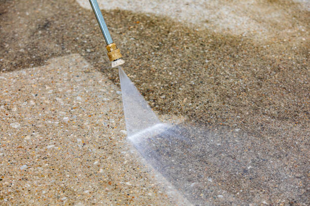 Best Animal Enclosure Cleaning  in Sea Girt, NJ