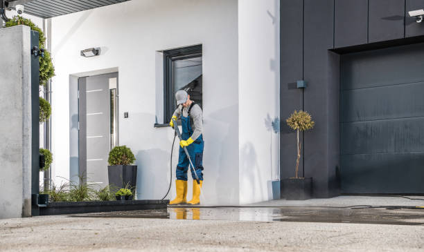 Best Roof Washing  in Sea Girt, NJ